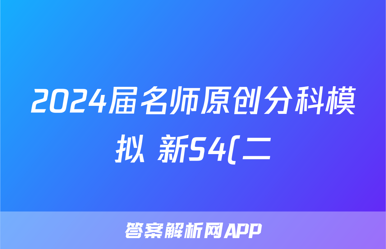 2024届名师原创分科模拟 新S4(二)&政治
